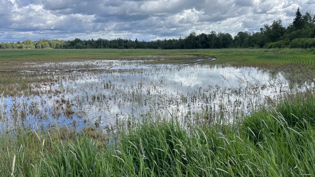 Üleujutatud põld 1.jpg