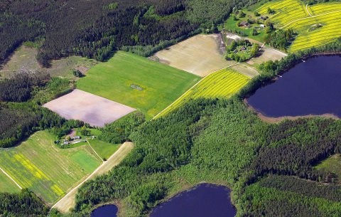 maastik.jpg